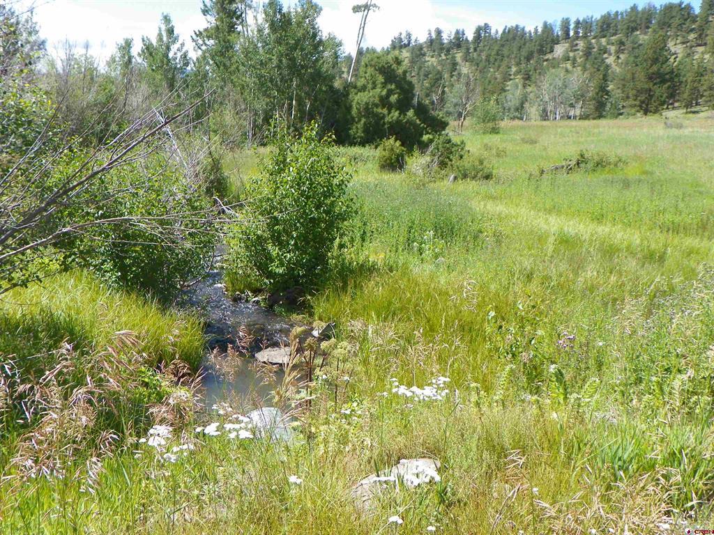 None 33h Saguache CO 81149
