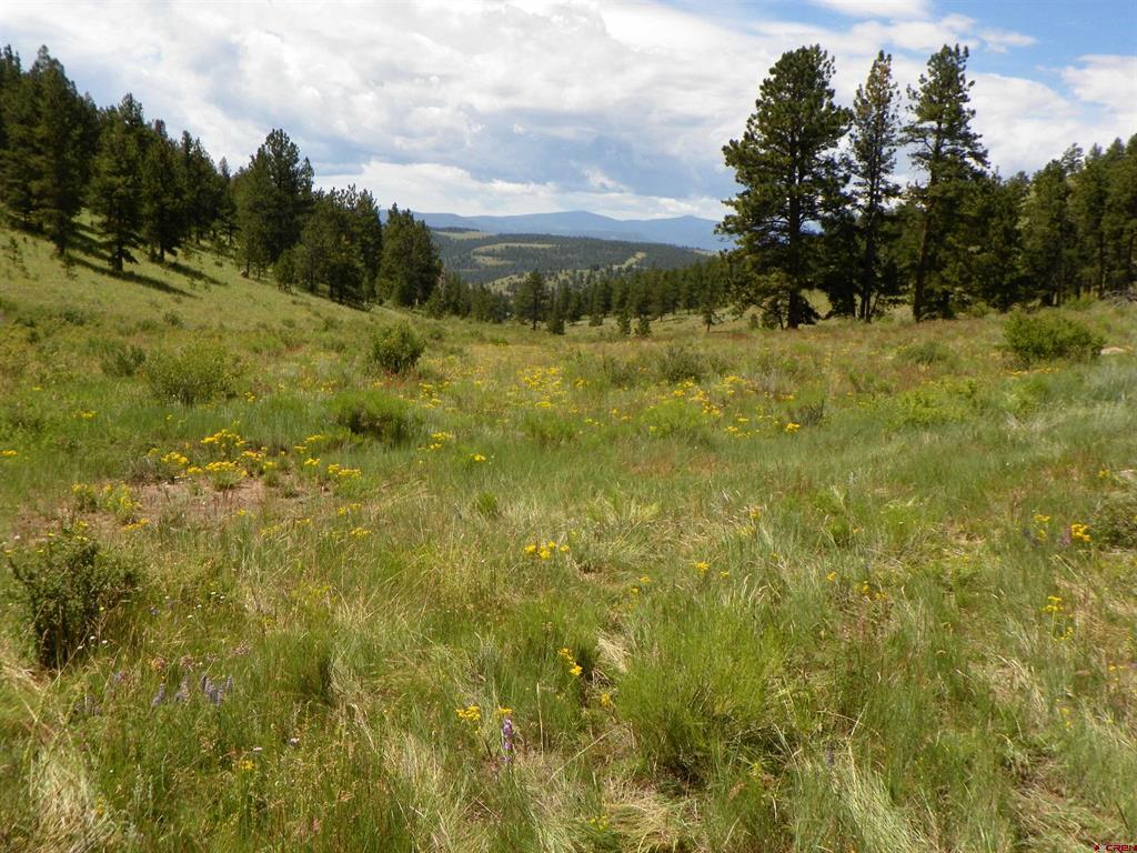 None 33h Saguache CO 81149