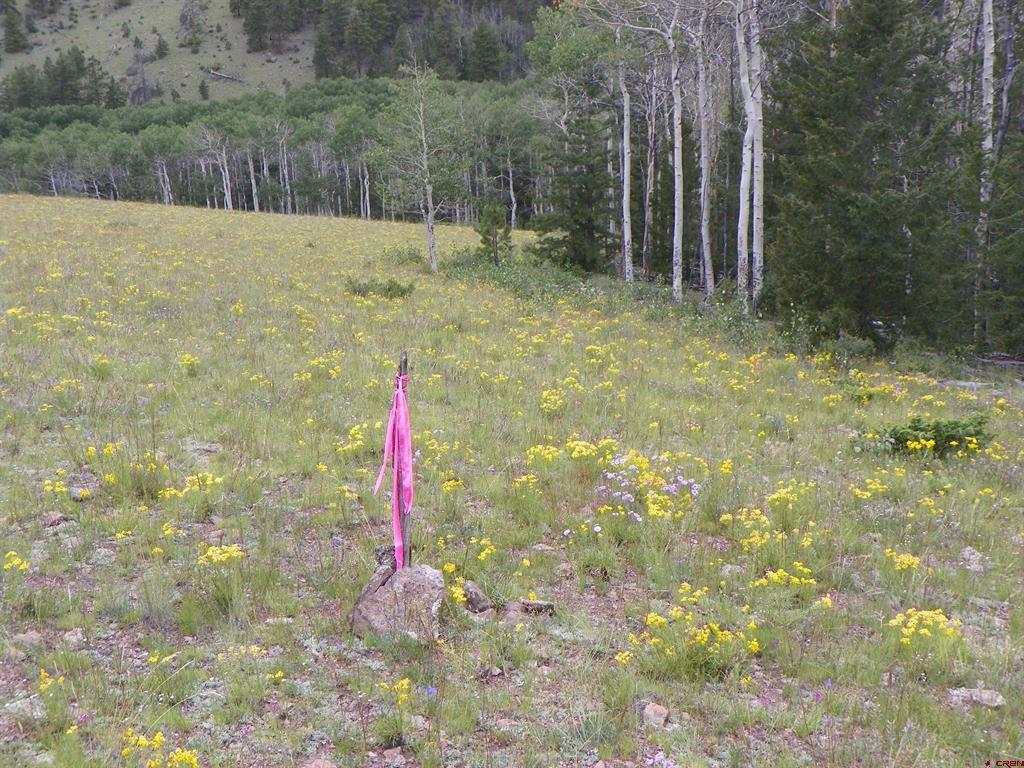 None 33h Saguache CO 81149