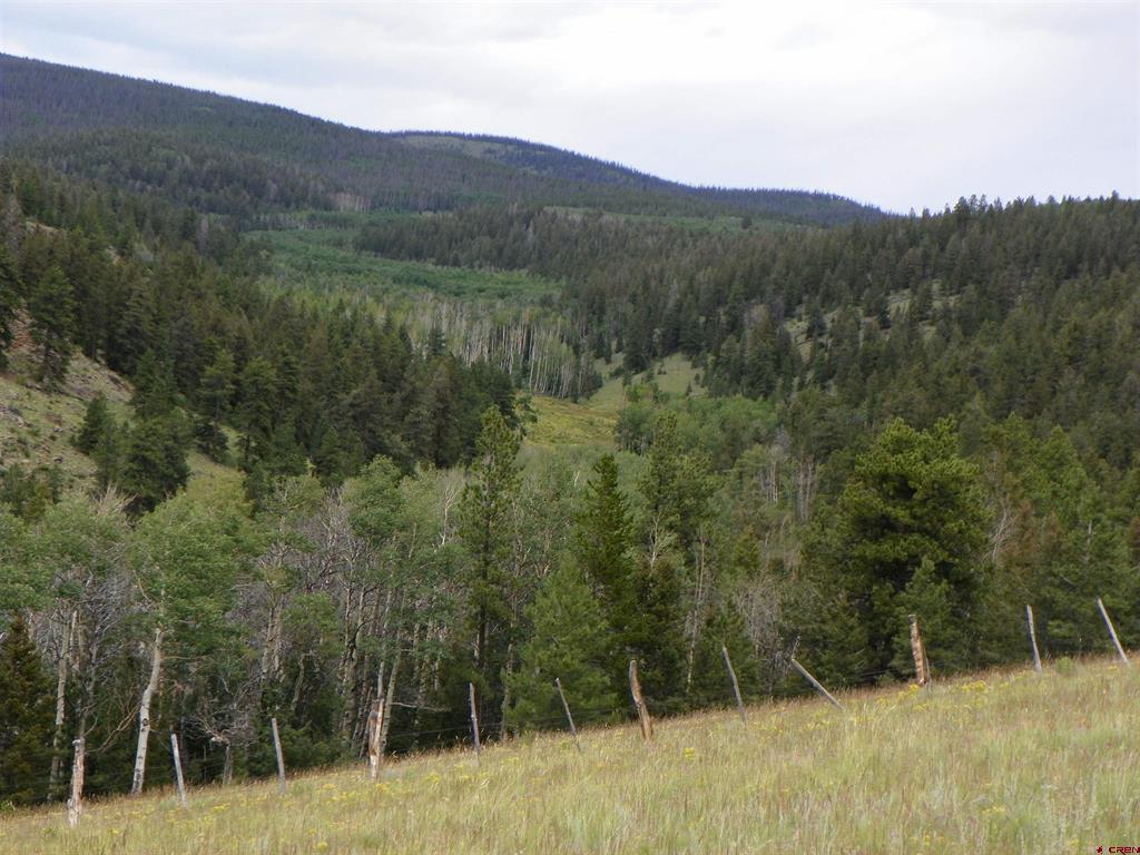 None 33h Saguache CO 81149