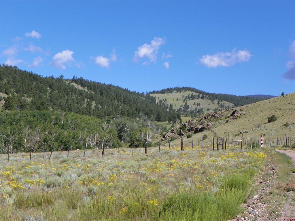 None 33h Saguache CO 81149