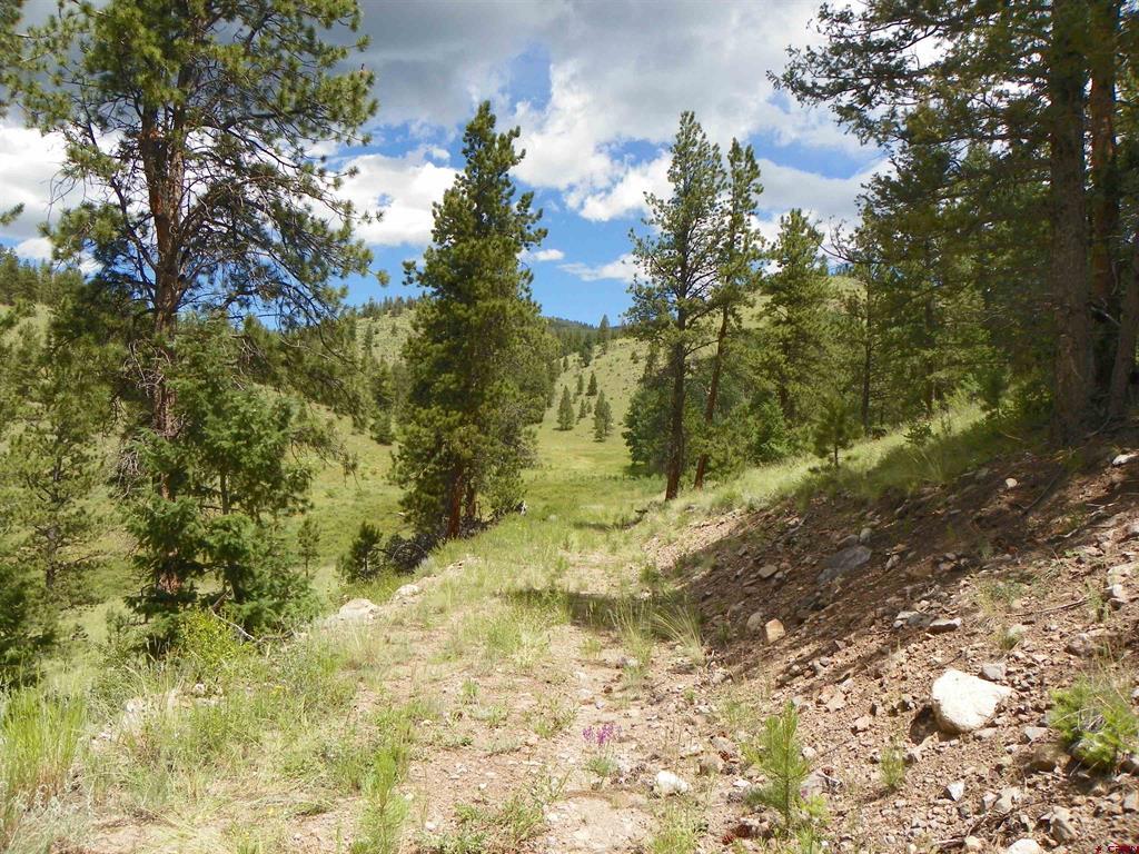 None 33h Saguache CO 81149