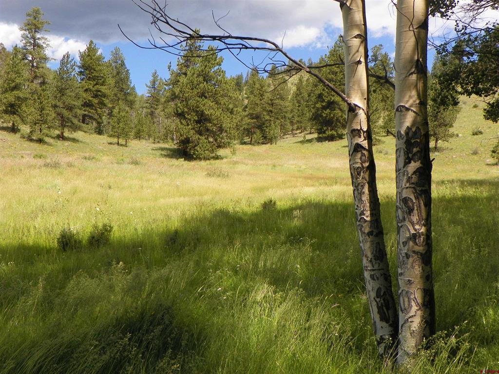 None 33h Saguache CO 81149