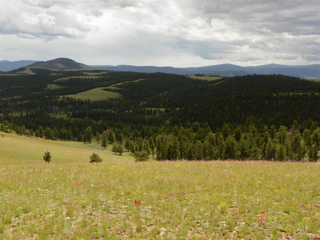 None 33h Saguache CO 81149