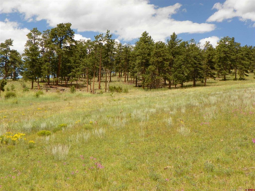 None 33h Saguache CO 81149