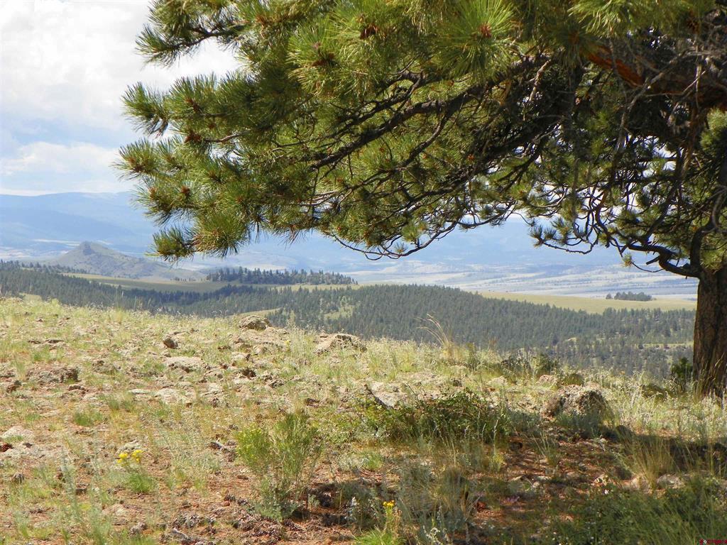 None 33h Saguache CO 81149