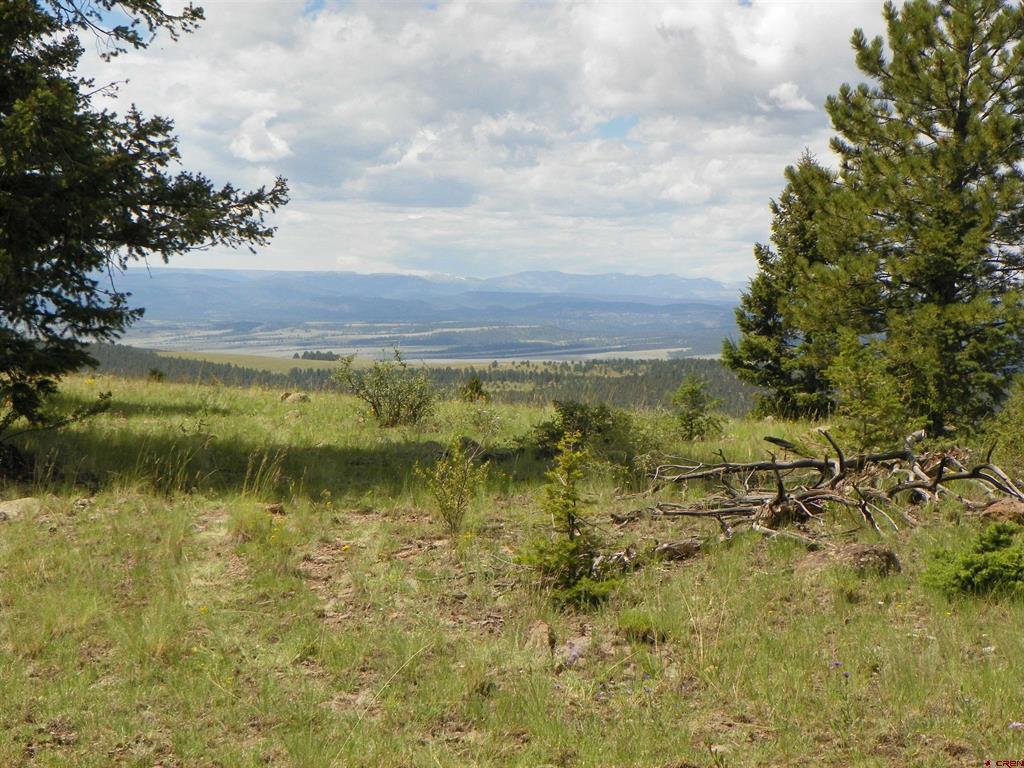 None 33h Saguache CO 81149
