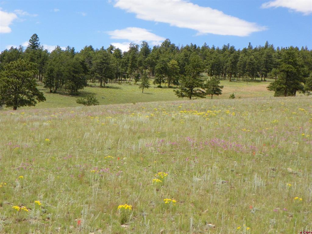 None 33h Saguache CO 81149