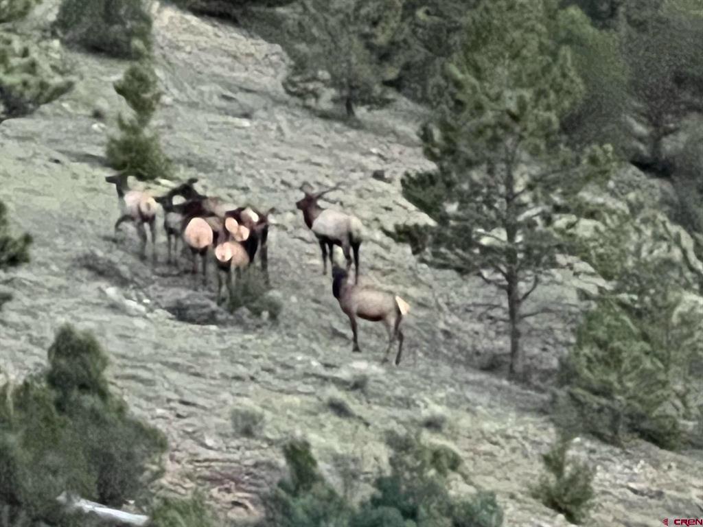 None 33h Saguache CO 81149