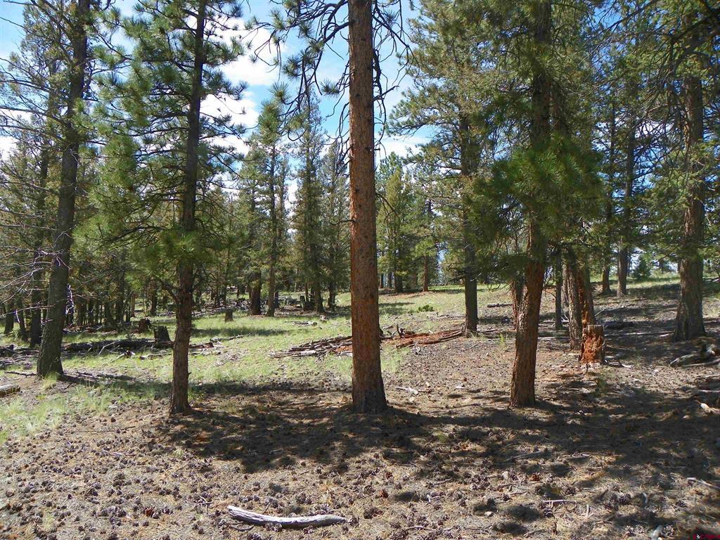 None 33h Saguache CO 81149