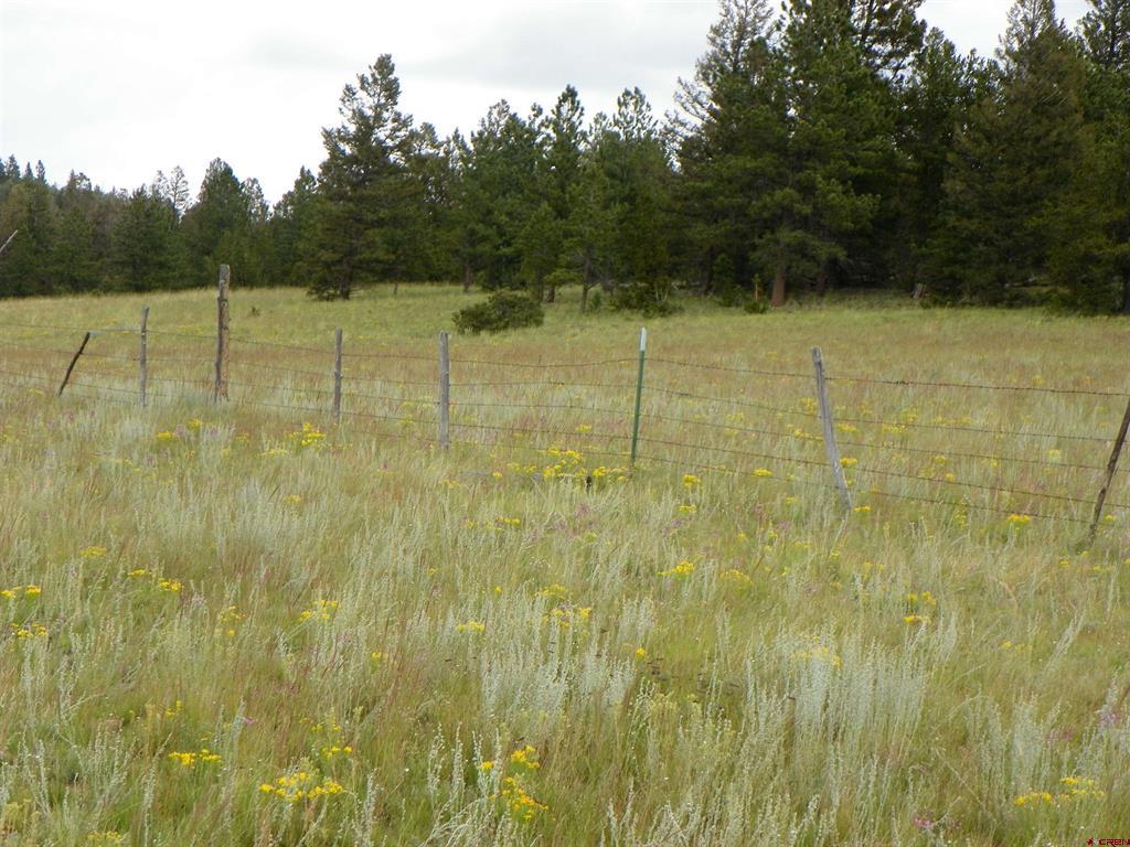 None 33h Saguache CO 81149