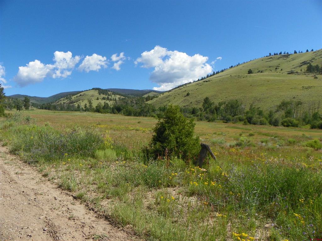 None 33h Saguache CO 81149