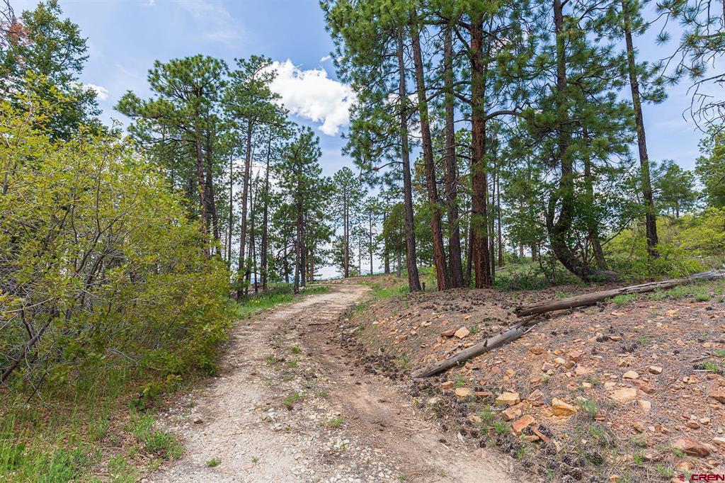 3111 Durango Cliffs Drive Durango CO 81301