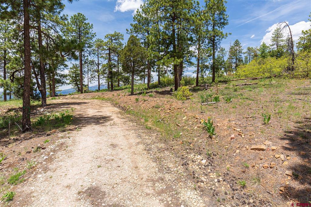 3111 Durango Cliffs Drive Durango CO 81301