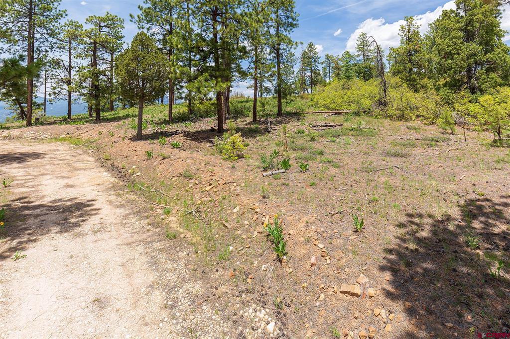 3111 Durango Cliffs Drive Durango CO 81301