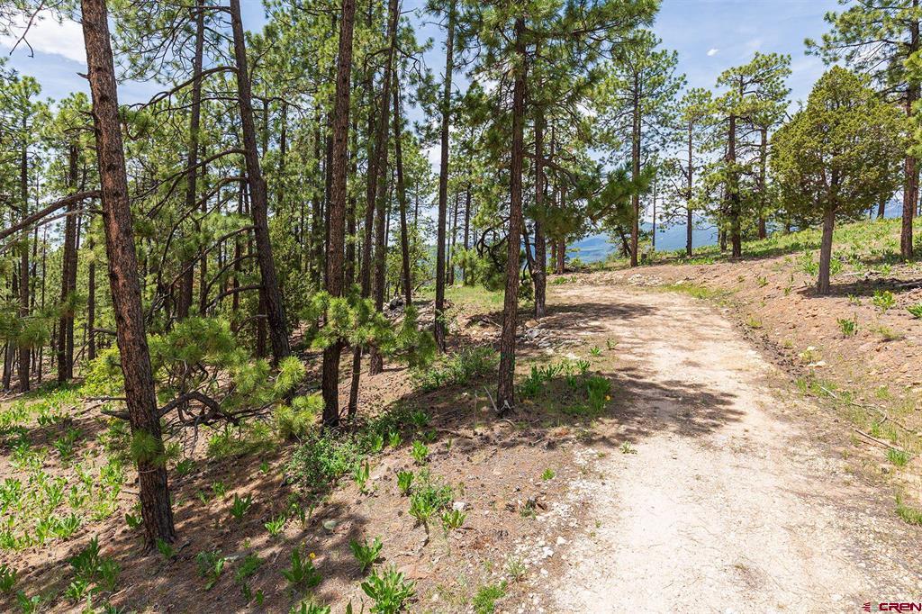 3111 Durango Cliffs Drive Durango CO 81301
