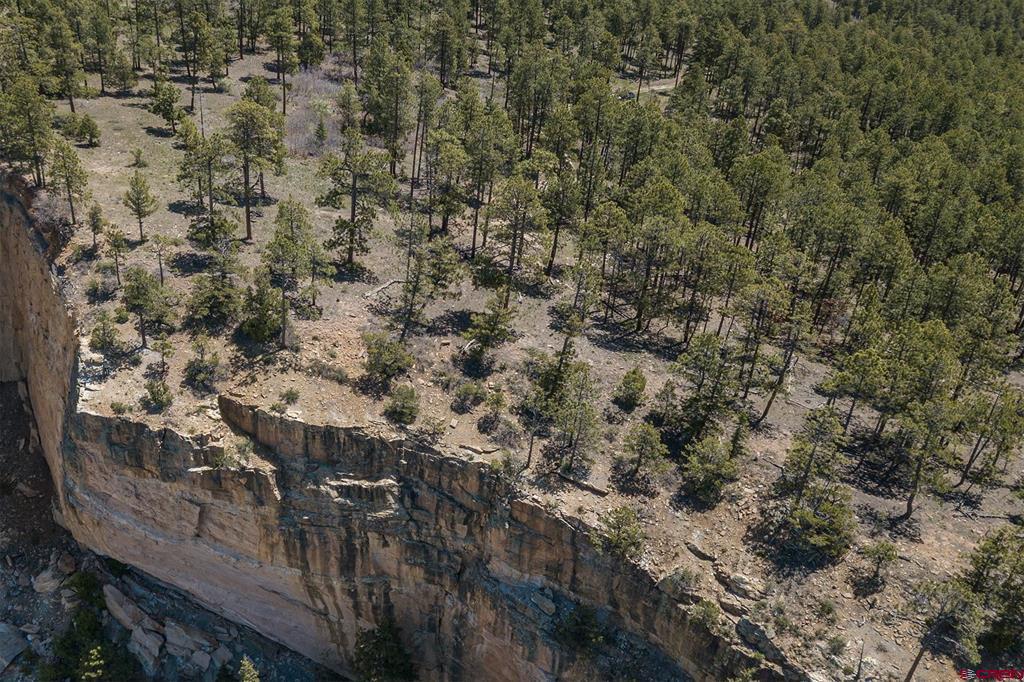 3111 Durango Cliffs Drive Durango CO 81301