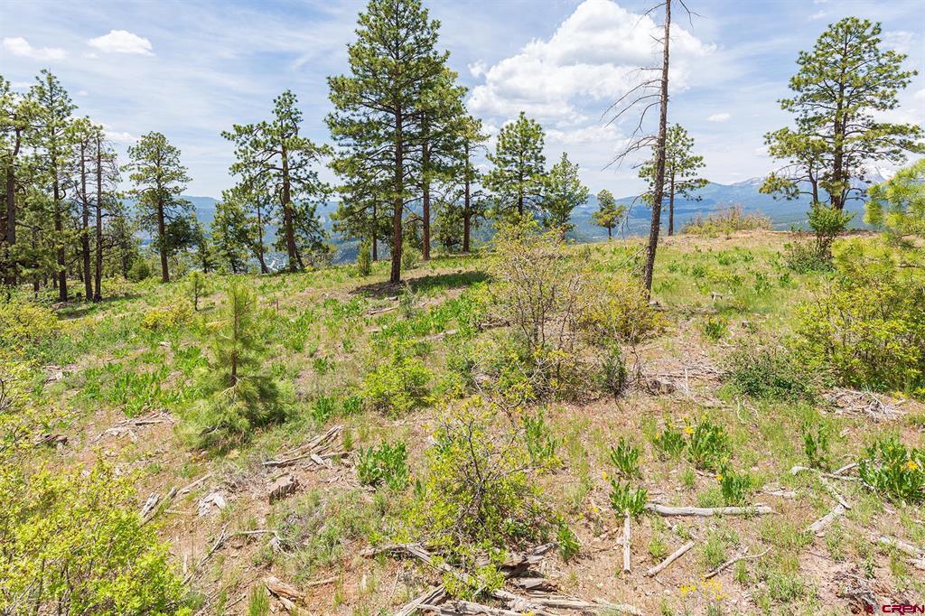 3111 Durango Cliffs Drive Durango CO 81301