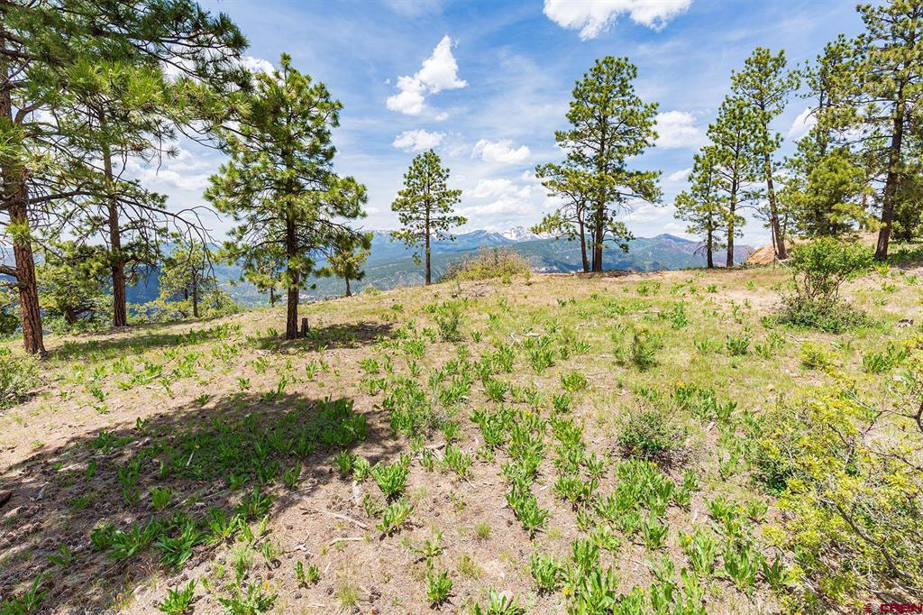 3111 Durango Cliffs Drive Durango CO 81301