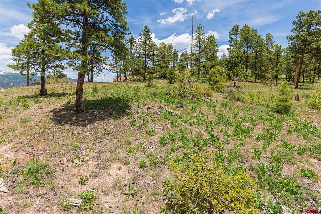 3111 Durango Cliffs Drive Durango CO 81301