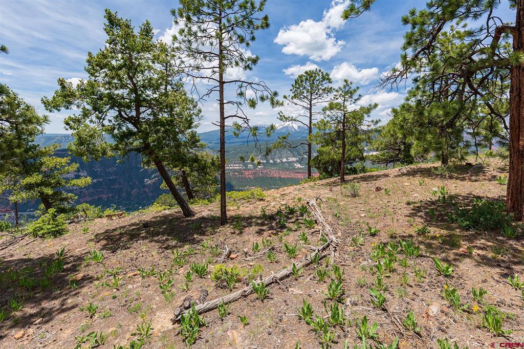 3111 Durango Cliffs Drive Durango CO 81301
