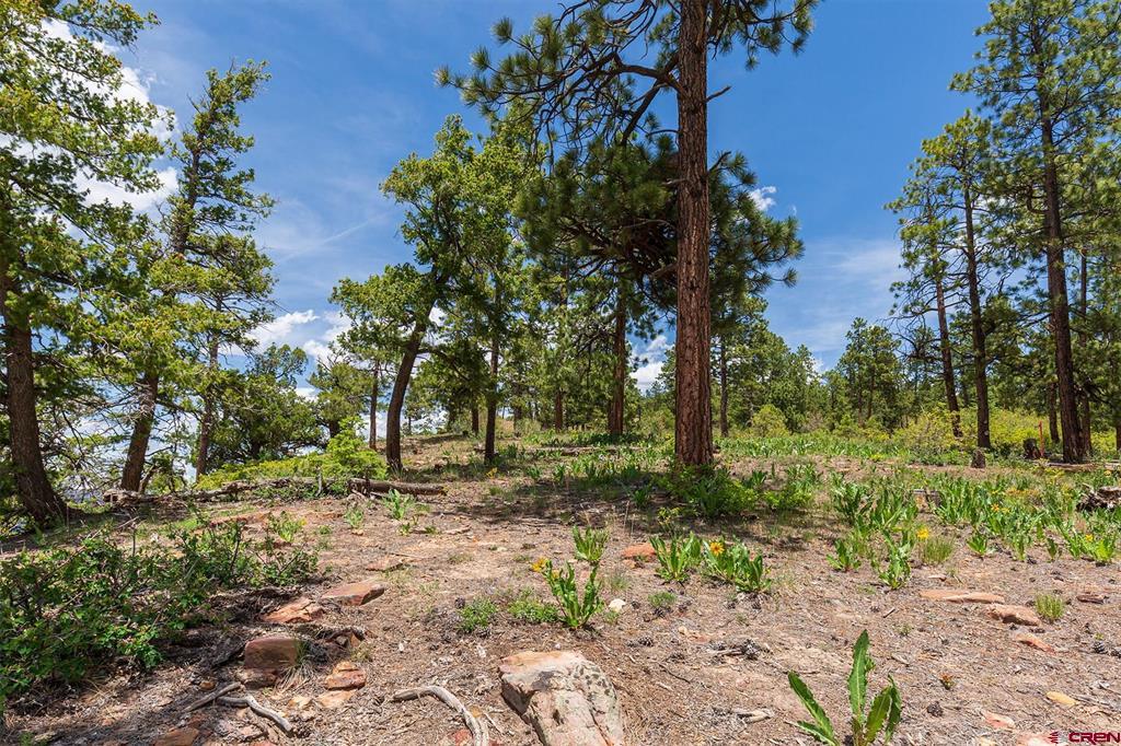 3111 Durango Cliffs Drive Durango CO 81301