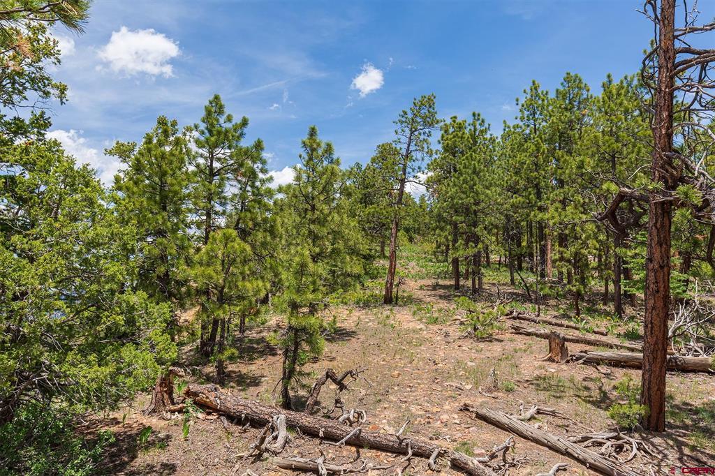3111 Durango Cliffs Drive Durango CO 81301