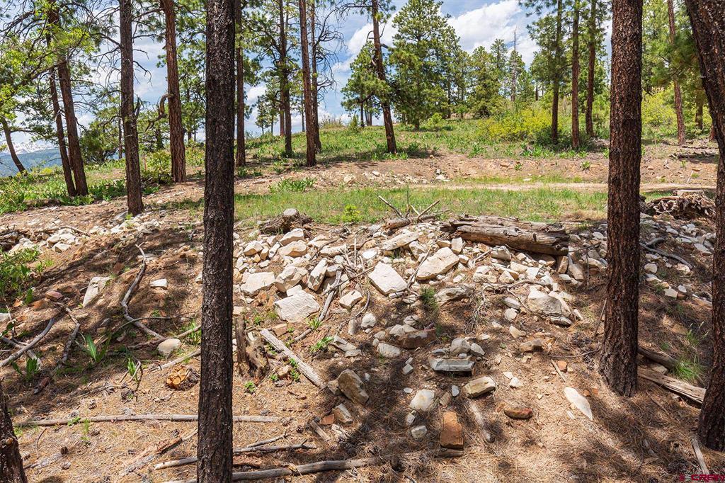 3111 Durango Cliffs Drive Durango CO 81301