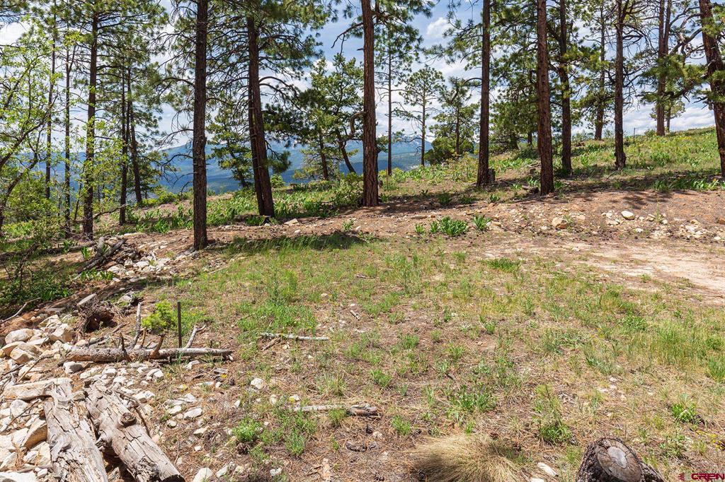 3111 Durango Cliffs Drive Durango CO 81301