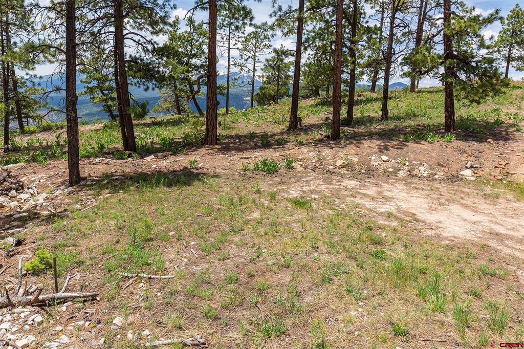 3111 Durango Cliffs Drive Durango CO 81301