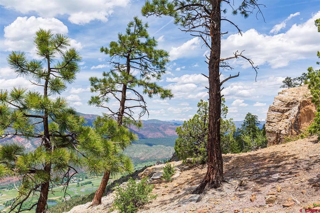 3111 Durango Cliffs Drive Durango CO 81301