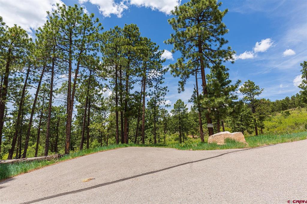 3111 Durango Cliffs Drive Durango CO 81301