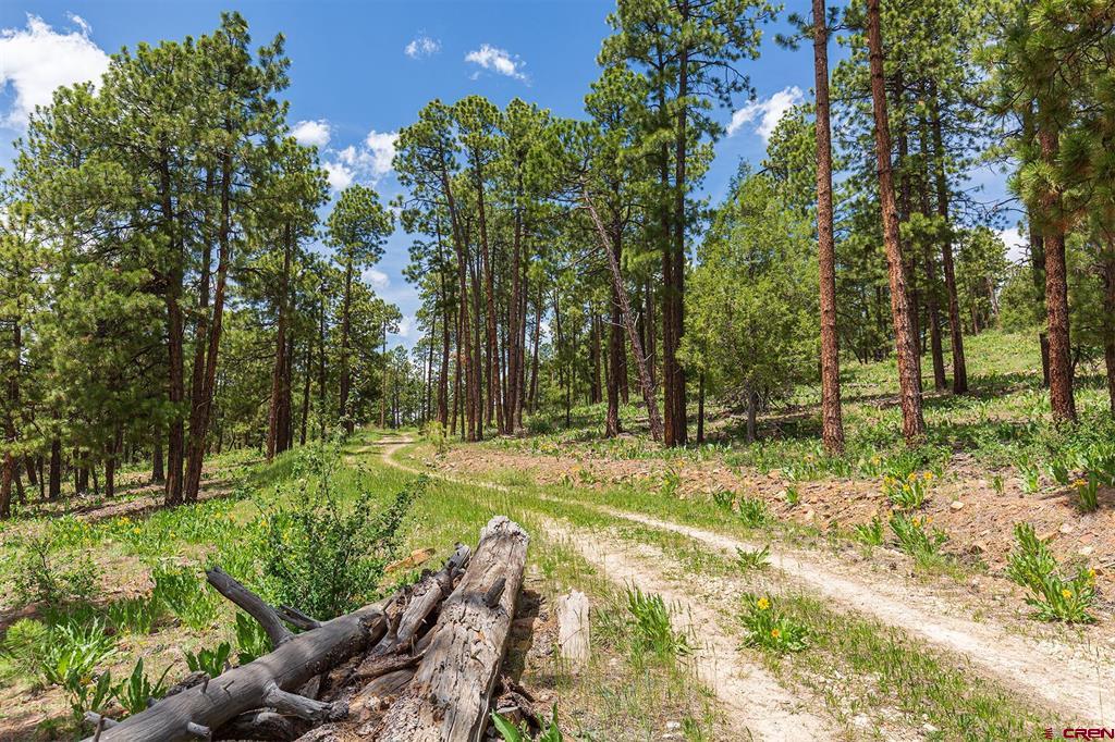 3111 Durango Cliffs Drive Durango CO 81301