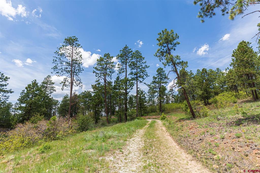 3111 Durango Cliffs Drive Durango CO 81301