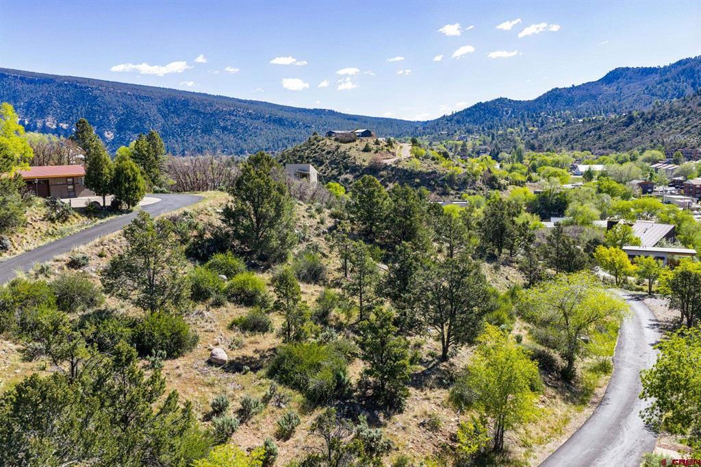 1229 Galaxy Drive Durango CO 81301