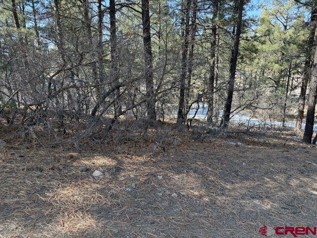 78 Heather Place Pagosa Springs CO 81147