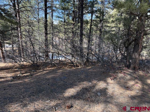 78 Heather Place Pagosa Springs CO 81147