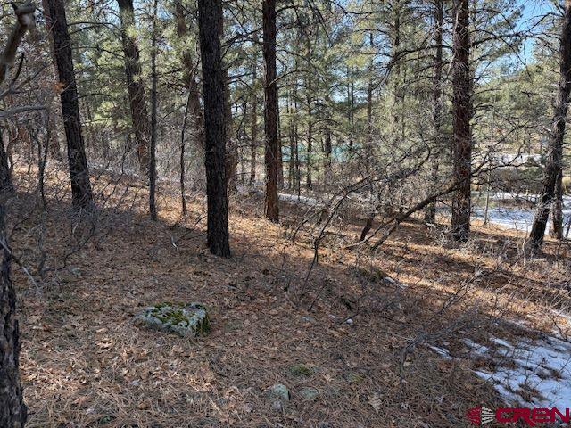 78 Heather Place Pagosa Springs CO 81147