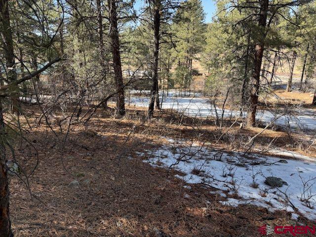 78 Heather Place Pagosa Springs CO 81147