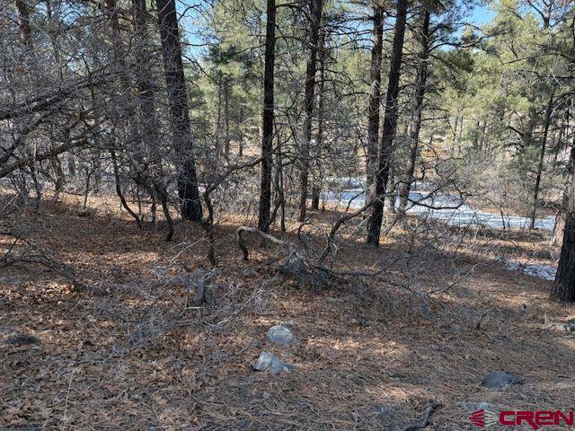 78 Heather Place Pagosa Springs CO 81147