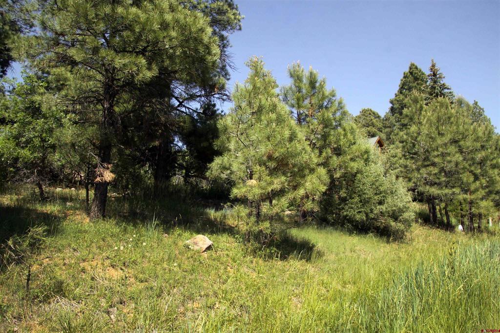 344 & 360 Caddy Circle Pagosa Springs CO 81147