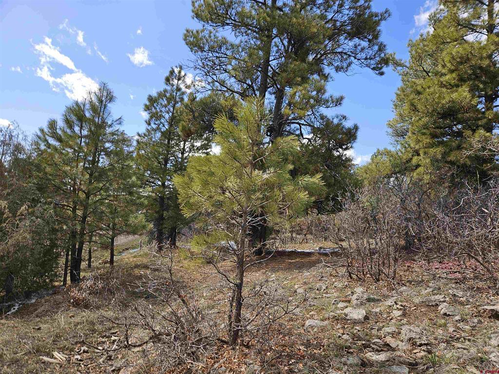 344 & 360 Caddy Circle Pagosa Springs CO 81147