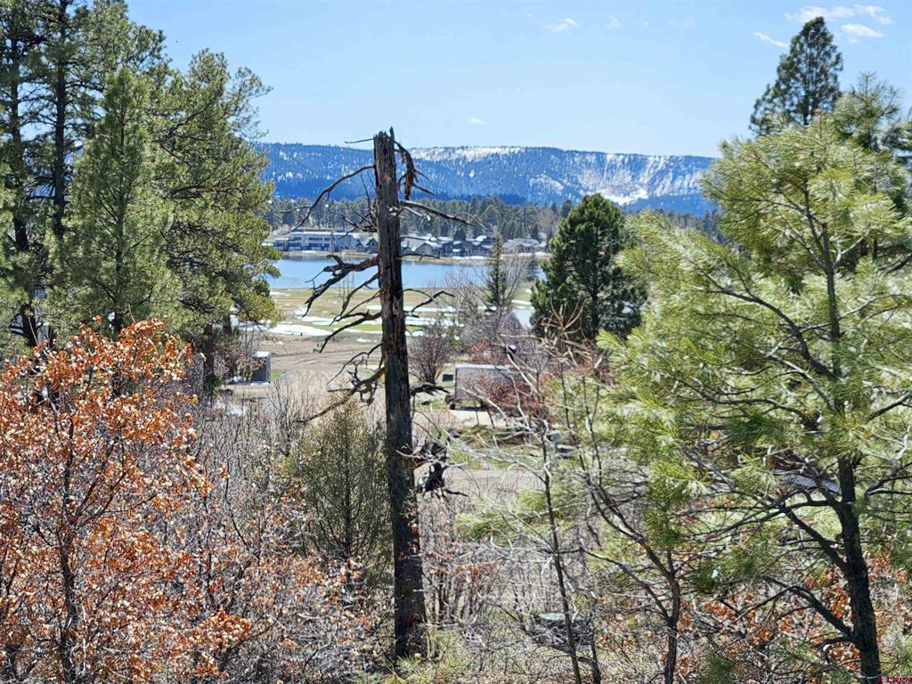 344 & 360 Caddy Circle Pagosa Springs CO 81147