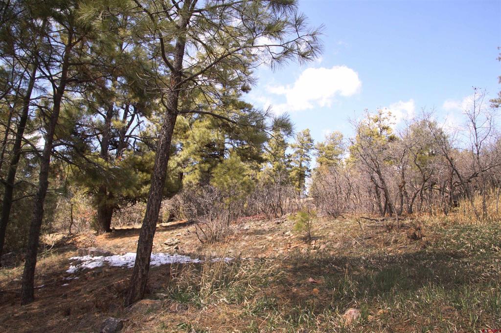344 & 360 Caddy Circle Pagosa Springs CO 81147