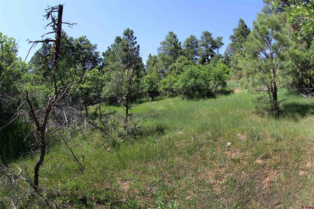 344 & 360 Caddy Circle Pagosa Springs CO 81147