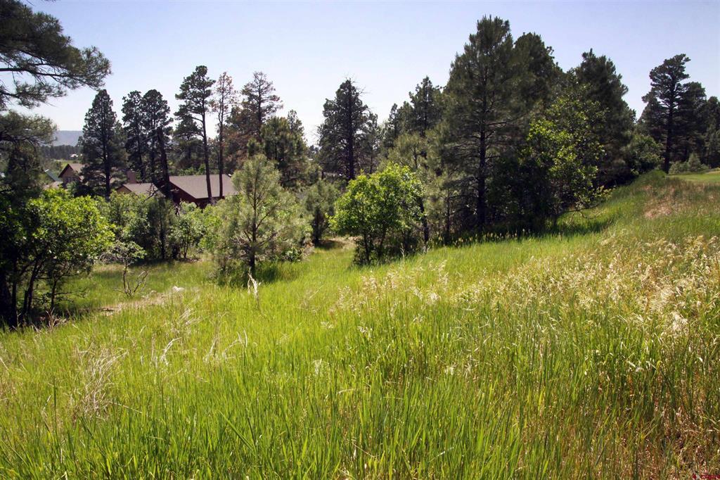 344 & 360 Caddy Circle Pagosa Springs CO 81147