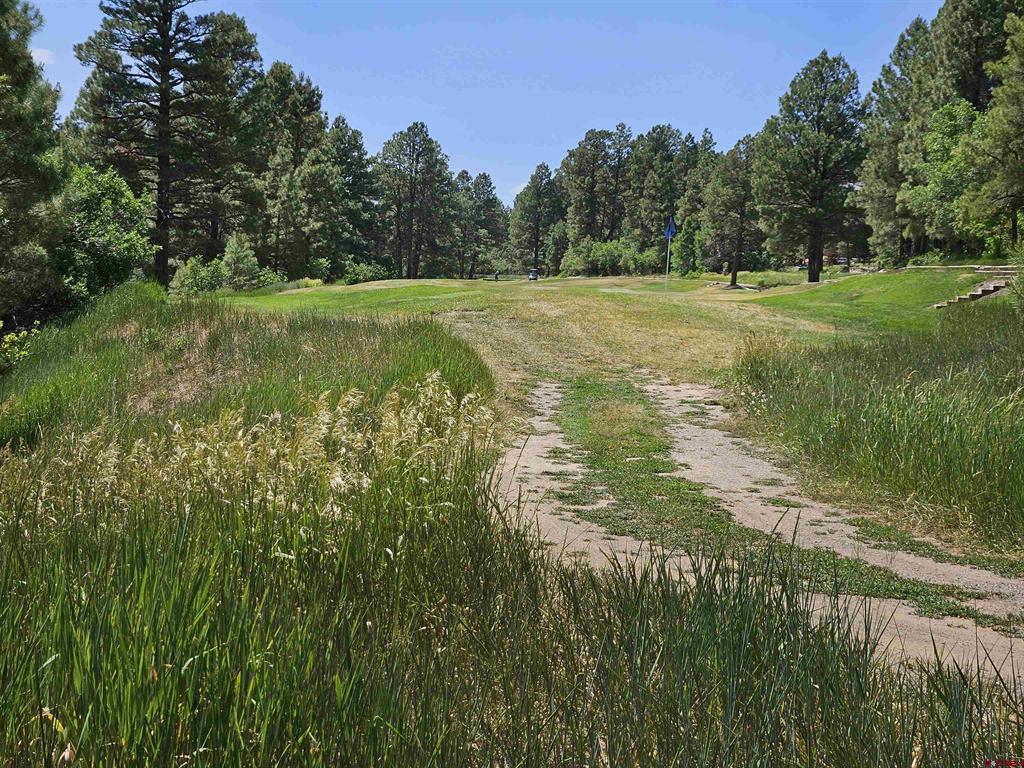 344 & 360 Caddy Circle Pagosa Springs CO 81147