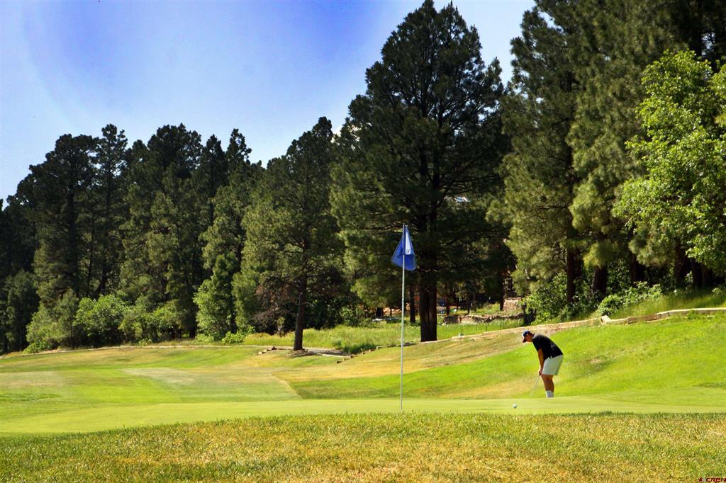 344 & 360 Caddy Circle Pagosa Springs CO 81147