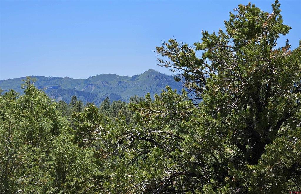 73 Wayne's Court Pagosa Springs CO 81147