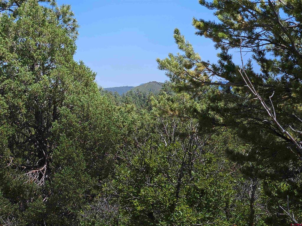 73 Wayne's Court Pagosa Springs CO 81147